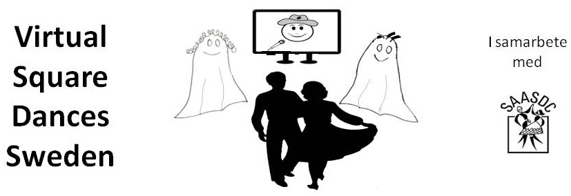 Virtual Square Dance Sweden Image