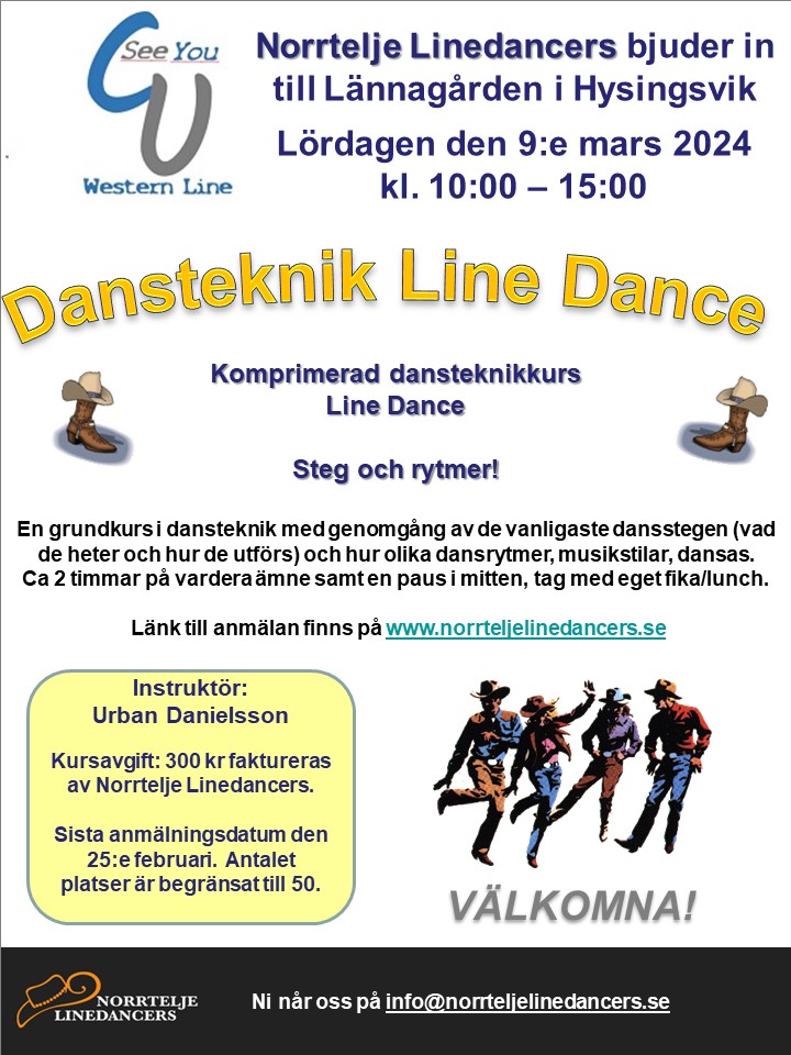 2024 03 09 Flyer Dansteknik